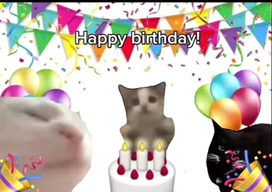 Send this to someone on their birthday!! #birthday #cat #car #cutecat #memecat #jumpingcat #foryou #fyp #catmeme #happybirthday #happybday 