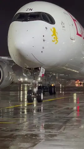 Ethiopian 0530am arrival from Addis Ababa with the A350 #ethiopianairlines #airbus #airbusa350 #avgeek #aviation #fyp #cabincrew #pilot #flight