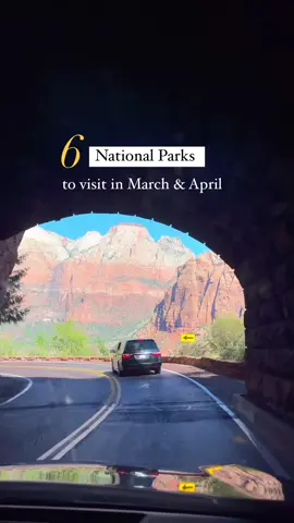Add these National Parks for your adventures  ✨Zion National Park  ✨Great Sand Dunes National Park  ✨Bryce Canyon National Park  ✨Dry Tortugas National Park  ✨Petrified Forest National Park  ✨Saguaro National Park  US National Parks to visit in March | US National Parks to visit April | US National Parks to visit in Spring  #usnationalparks #nationalparks #visittheusa #spring #outdooradventures 