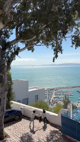 #tunisie #Summer #travel #travelvideo #sidibousaid #Vlog #memories 