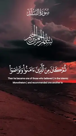 ثم كان من الذين آمنوا وتواصوا بالصبر وتواصوا بالمرحمة #سورة_البلد #البلد #قرآن #قرآن_كريم #راحة_نفسية #عبد_الباسط_عبد_الصمد #عبدالباسط_عبدالصمد #quran #quran_alkarim #رجل_يسعى 