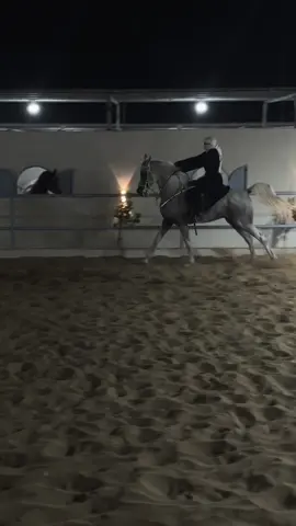 #خيل_وخياله🐎 #مربط#غيث_الحجاز #sara7 #fyp #explore #مكه #مالي_خلق_احط_هاشتاقات #الشعب_الصيني_ماله_حل😂😂 #خيل #فارسات #المغمس #اكسبلورexplore 