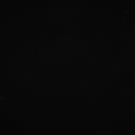 amo demasiado a #FUGITIVEPREDATOR oopsi 🤭 | #depredador #predator #predtok #kraftiga #edit #predatoredit 