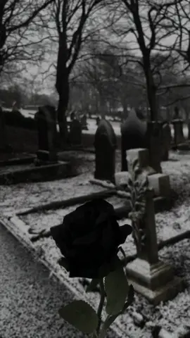 𝔬𝔫𝔢 𝔰𝔱𝔢𝔭 𝔞𝔥𝔢𝔞𝔡 #gothic #gothicaesthetic #cemetery #graveyard #aesthetic 