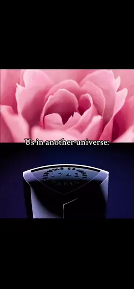 #fragrance #pdm #layton #couplegoals #delina #matching #usinanotheruniverse #jpg #perfume #cologne #perfumetiktok #fragrancetiktok #oriana #sedley #oajan #fyp