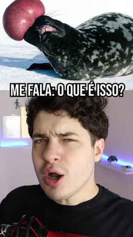 ESSE ANIMAL NÃO ESTÁ FERIDO #ilusao #ilusaodeotica #curiosidades #curioso #animal #animais