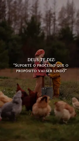 #CapCutMotivacional #gratidao #deus #frases 