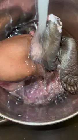 Cleaning a raccoon tonignt 🤠🤠🤠‼️‼️#foryou #tiktok #foodphotography #fypシ゚viral #foodtiktok #outdoorcooking #viral #explore #FoodLover #explorepage #foryoupage #brunchtok #fyp #cajuncooking #foodlover 