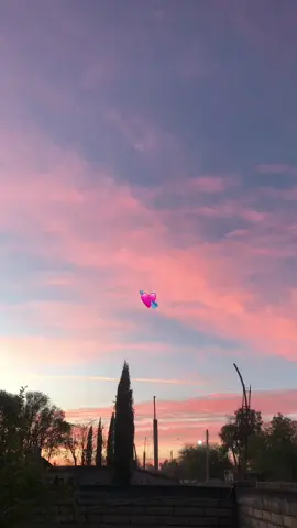 #sequeteamo #lostemerarios 😍#atardecer 
