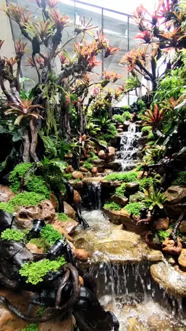 the chorus of birds and the flow of the river 🐦🌊#aquascape #aquascapeindonesia #aquascapepemulaindonesia #aquascapepemula #aquarium #paludarium #paludariumindonesia #landscapephotography #landscape #landscapedesign 