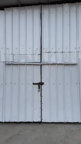 #برنامج_صباح_الخير_يابلدنا 