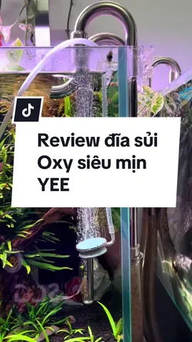 Review đĩa sủi oxy siêu mịn YEE #ThanhThoiLuotTet #thuỷsinh #thuysinh #trending #xuhướng #cachoithang #bểmini #xuhuongtiktok #cá #sủioxy #xuhuong 