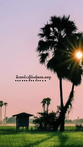 #เทรนด์วันนี้ #မႂ်ႇသုင်ၶႃႈ🌸สวัสดีค่ะ🌸 #อย่าปิดการมองเห็นผมนะครับ🙏 