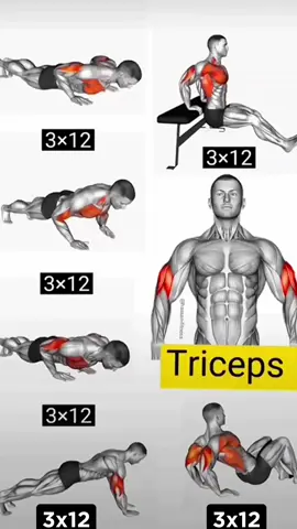 Triceps Workout at Home without equipment 💪 #triceps #workout #Fitness #homeworkout  #foryou #fyp #viral 