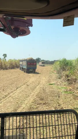 มารุมฉันเเล้ว🤣🤣#ให้นอนสวนจะวันละว่าาา#ด่วนโรงงานน้ําตาลพิมาย🎋💖 #วัยรุ่นบุรีรัมย์ #fyp #โสด 