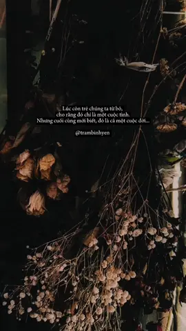 Anh mong được một lần thứ tha, xin em về đây... 📷 St #TramBinhYen #hoihantronganh #tamtrang #lyrics #tinhyeu #story #xh #xuhuong 