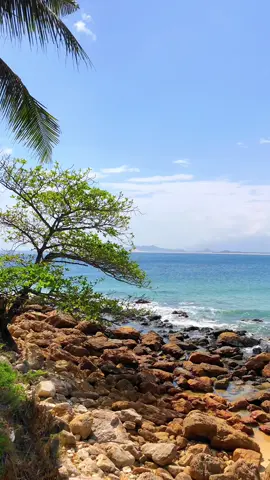 Thêm một video về bãi biển ở Mũi Vi Rồng, Phù Mỹ, Bình Định nha cả nha ❤️ #binhdinh #biển #77binhdinh 