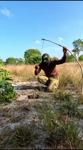 Trap demo #bushcraft #trap #lesrn #survival #bushcrafting #Outdoors #foryoupage #foryou #trending 