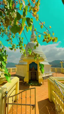 මේ වගේ පන්සලකට ගිහින් තියනවාද 🥺♥️            මෙතනට කොළඔ , ශ්‍රි පාදස්ථානය , වටවල වගේ හුගාක් තැන් බලාගන්න පුඵවන් ! ඇවිත් බලන්නම ඕනා පන්සලක් …  #fypシ #fyp #foryou #foryoupage #viral #nature #colombo #adamspeak #visitsrilanka #srilanka 