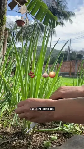 Depois desse video nao tem mais desculpas amiga 😋#receita #feijão #donadecasa #rotinadedonadecasa #dicas