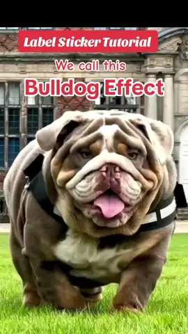 Why does Label Stickers peel off? #whydoeslabelstickerspeeloff  #labelstickerspeeloff #stickerpeeloff ,  The reason stickers peel off can vary, with anti-fungal paints being a significant factor. These paints, also known as Anti-mould, Anti-bacterial, and Stain Resistant, contain properties that can interfere with the adhesive on stickers, causing them to lose their grip and peel away.