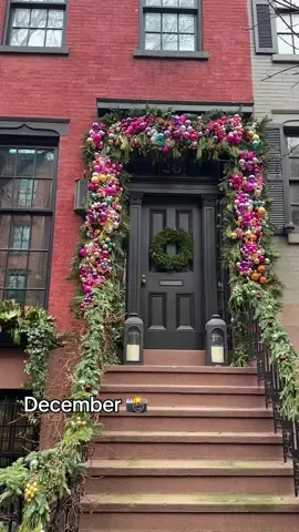 Xmas dump pt 1 #nyc #ratcity #christmasinnewyork 