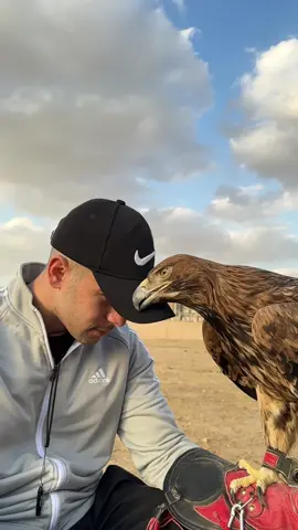 بنتى 🤍🦅 #رامز_امير #رهبة 