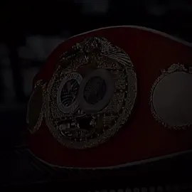 boxing dan berbagai macam sabuknya🥊#boxing #pbc #ibc #wbc #world #ramadhanekstraseru #fypage #fyp #foryou 