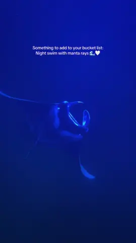 Unless you hate dark open water then maybe not #hawaii #mantaray #bucketlist 