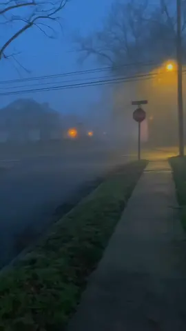 Foggy 🌫️ #🇺🇸 #usa #usalife🇺🇸 #foryou #fyp #foryoupage #america #neighborhood #yourdream #americandream #usavibes #vibes #Aesthetic 