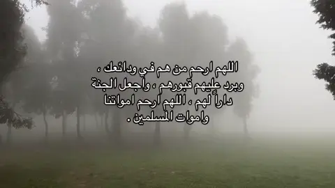 أذكروا والدي و والدتي بدعوة . #foryou #explore #قران #quran #راحة_نفسية 