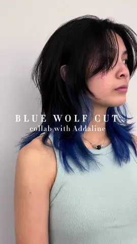 Refreshing wolf cut for Tajia! She usually straightens her hair first styling so we were able to do the wolf cut.  Kept the length longer this time so we can achieve wispier softer ends .  Peekaboo blue color by @Addaline | Hairstylist  _ #torontohairstylist#torontohairsalon#peekaboo blue#bluehair#wolfcut#layers