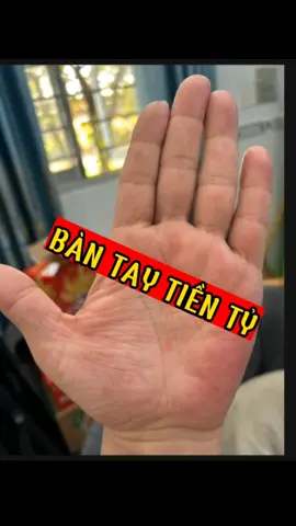 Bàn tay sở hữu tiền tỷ, các bạn có như vậy không. #xemchitay #tuvi #dcgr #fyp 