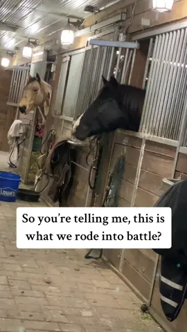 He do be smart tho  #funnyhorse #funnyanimal #countrylife #horsesoftiktok 