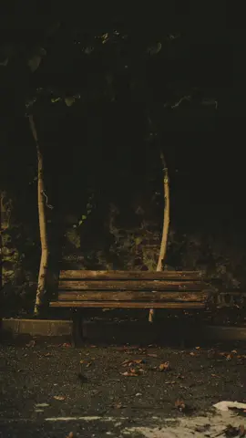 Ijinkan Aku Menyayangimu - Iwan Fals #CapCut #templatecapcut #liriklagu #lirikestetik #fyp #foryou 