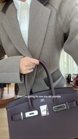 Hermès FW24 runway shoulder birkin & jacket 🖤 #ponyclub  #hermesbirkin #hermes #pfw #parisfashionweek #hermesbag #fitcheck #parisianstyle #parisian #mystyle #oldmoneyaesthetic 