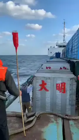سباق الحمام الزاجل في البحر  Taiwan racing pigeon sea race #سباق_الحمام_الزاجل  #racing 