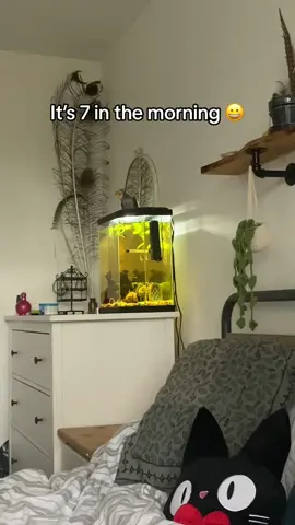 Send help plz wheres the off button on parrot #fyp #foryou #bird #cockatiel #parrotsoftiktok #birdsoftiktok 