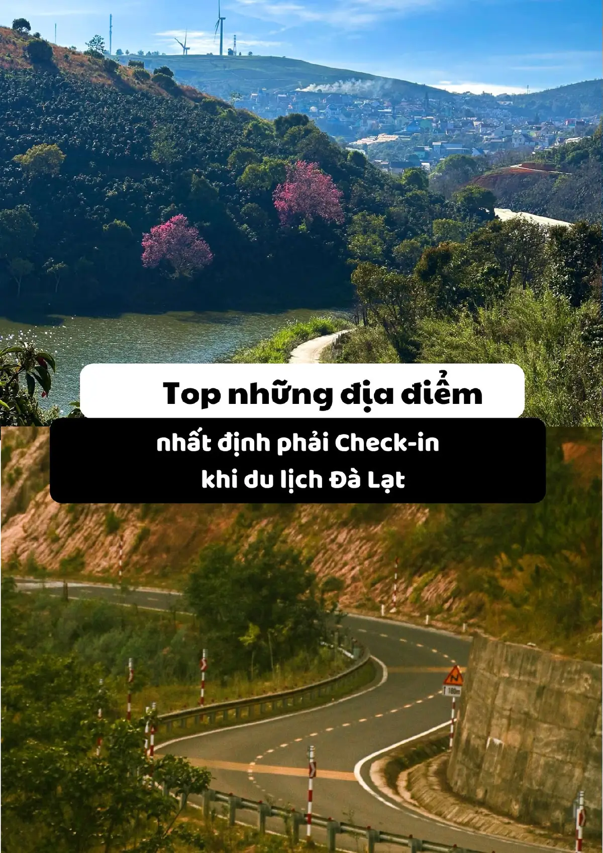 Các địa điểm tham quan cực hot khi tới Đà Lạt #dalat #mongoland #chikafarm #xomleo #doichecaudat #caycodon 