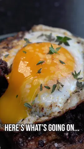 Sobrassada Sausage with Fried Duck Egg on Toast - Toast it - Revisited - Episode 6 Ingredients:  100g Sobrassada (You could use a soft chorizo or Nduja instead) 1 Duck Egg 1 Slice of Toast 1 tbsp butter 1 tbsp olive oil Sea slat flakes and Fresh thyme to season and garnish  Method: Cut up your Sobrassada and fry in olive oil in a hot pan until crispy (make sure to mince up the sausauge into little pieces) Put the Sobrassada to one side and fry the duck egg in the oil left over in the frying pan Toast and butter your bread Serve the Sobrassada over the toast with duck egg on top and sprinkle with salt and fresh thyme Enjoy! #Recipe #toast #toasted #toastit #series #eggs #breakfast #brunch #Sobrassada