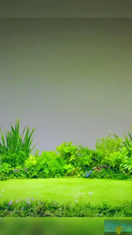 Pikachu | Nhạc Thiếu Nhi Hay Nhất #nhacthieunhi #thieunhi #kids #kidsongs #nhacthieunhichobe #hoathinh #nhacthieunhivuinhon 