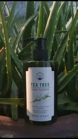 💯มีทอน #เจลล้างหน้าทีทรี #สูตรลดสิวสําหรับคนเเพ้ง่าย #โฟมล้างหน้าลดสิว #พิกัดในตะกร้า 