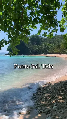 La belleza de Punta Sal 🌊🐚 #honduras #telahonduras #puntasal #puntasalhonduras 