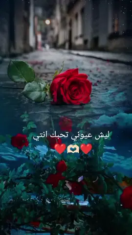 ليش عيوني تحبك انت ليش قلبي عليك يغار.. ##❤️🌹😘❤️♥️💓💖💕🌸🌺🌹🌷🏵️🌼💜💮💐🥰🥰🥰🥰🥰 