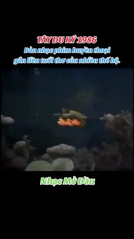 Bản nhạc phim huyền thoại gắn liền tuổi thơ của nhiều thế hệ. #tâyduký1986  #nhạcmởđầu #xuhướngtiktok 