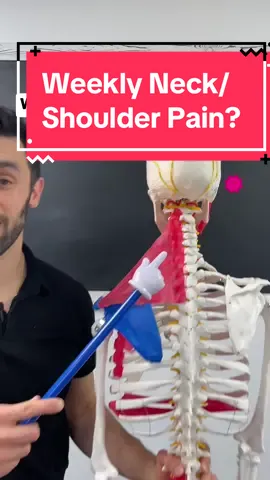 If you’ve been experiencing neck pain, shoulder pain, headaches, a very common question is, where do I start? And the answer is start very simple and very broad so that you can allow your body to give you the answers. You need to take the next steps. In this video, I show just some very very high-level, simple, postural, and positioning strategies you can throw in to every day life to get the ball moving in the right direction. From there you can get more specific and address the root causes, etc. If I had no other information on what is going on inside your body or mind, I would say start with this, I’ve had great results with this strategy! #neckpainrelief #tmjdisorder #headacherelief #neckpaintreatment #jawpain #migrainessuck 