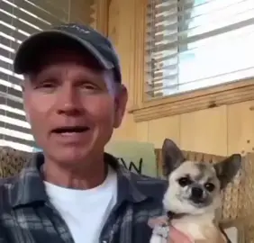 #funny #funnyvideo #funnyvideos #meme #memes #dog #puppy #petting #cursed #painful #dogbite 
