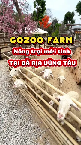 Chiếc farm mới tinh, siêu hoành tráng tại Bà Rịa Vũng Tàu #WomenInSports #anchoivungtau72 #vungtau #dulichvungtau #dulichtinhbariavungtau #xuhuong #fyp #farm #datdo #locan #phuochai 