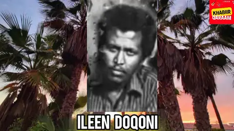 Xasan Aadan Samatar - Doqoneey Dabkaa Be' 💔💖💞❤🥰#somalitiktok #somalifollowers 