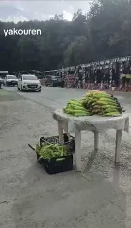 #viral  #tiktok  #pourtoi  #vues  #foryou  #tiktoknews  #foryoupage  #Penacony @دعم الحسابات  👑  @دعم حسابات~~ايمارو~~⚔️🌴  @داعمة الحسابات 